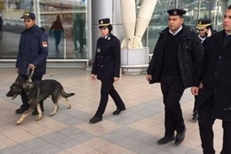 92-192543-women-s-inspection-teams-dogs-cairo-airport_700x400