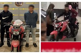 72875293716120260217012505255